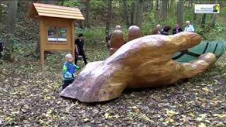 Impressionen der Glasarche 3 vom Besuch am Stiftungswald Blankenburg (16.10. bis 27.11.2017)