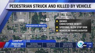 Pedestrian hit and killed by car in Auburn