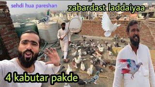 4 kabutar pakde sehdi k  sehdi hua pareshan | Zabardast ladaiyya sharukh bhai se  pigeon lover