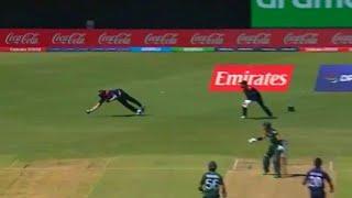 Watch : Stunning Catch Of Steven Taylor vs Pakistan Today | Taylor Catch today of M Rizwan