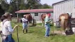 Tillers International Farming with Draft Animals (9 of 17)