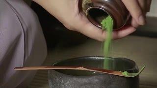 Uji Birthplace of Matcha Green Tea