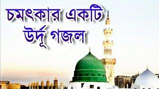 চমৎকার একটি উর্দূ গজল | শুনলে মন ভরে যায় | Halal Media BD