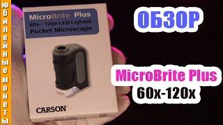 CARSON MicroBritePlus  60 120X Обзор микроскопа США