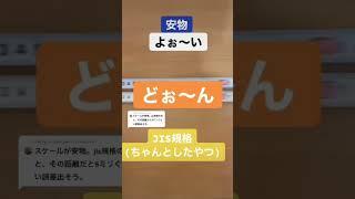 安物のスケールはどうだ⁉︎      #Sho建築士　#一級建築士