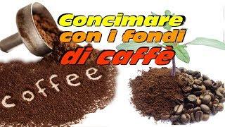 CONCIMARE CON I FONDI DEL CAFFE'