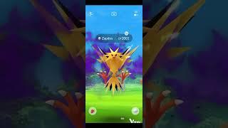 KANTO LEGENDARY BIRDS IN SHADOW RAIDS:GOT LUCKY WITH SUM SHINY️SHADOWS+SUM PURIFIEDs