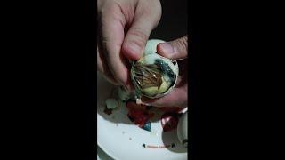 Balut at Penoy #shorts #trending