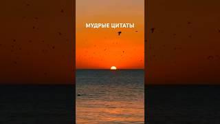 Мудрые цитаты #рекомендации#саморазвитие  #мудрыеслова #мышление #жизнь #вдохновение #размышления