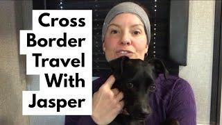 Cross Border Travel With my Dog.