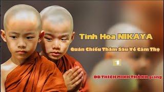 Tinh Hoa NIKAYA - Quán Chiếu Thâm Sâu Về Cảm Thọ 1