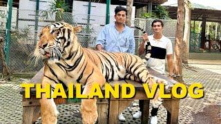 We Did This With A Tiger In Thailand.. 