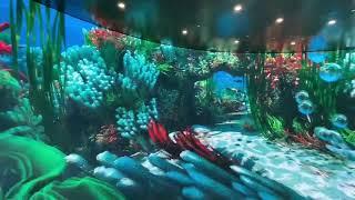 Indoor curved immersive LED video wall for entertainment