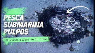 PULPOS DEL ATLÁNTICO // PESCA SUBMARINA GALICIA