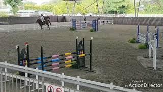 Horse didnt like the jumps with red bricks