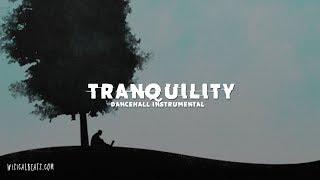 Dancehall Instrumental 2018 ~ "TRANQUILITY." | prod. Wizical Beatz