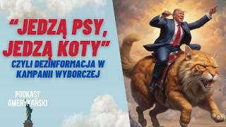 201. „Jedzą psy, jedzą koty”, czyli dezinformacja w kampanii wyborczej