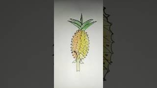 Pineapple/আনারস easily drawing…#pineapple #আনারস #easy #drawing #art #ritu'screation