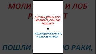 Як сказати українською «Заставь дурака богу молиться, он и лоб расшибет» #прислів #приказки
