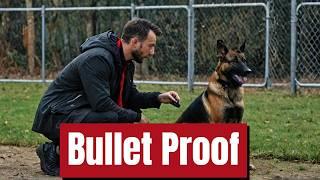 Are Belgian Malinois the BEST Guard Dogs for PROTECTION? | Malinois | Dog Training | German Shepherd