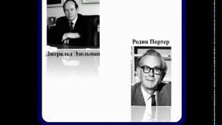 Строение иммуноглобулинов
