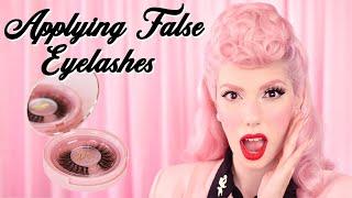 False Eyelashes Tutorial & Introducing D Poodle Collection 