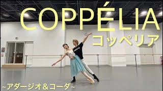 【本気バレエ #10】コッペリアのパ・ド・ドゥ＆コーダ| Coppélia Pas de deux and Coda