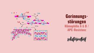 Gerinnungsstörungen: APC-Resistenz & Hämophilie A / B - Ursache | Missense-Mutation | Übersicht