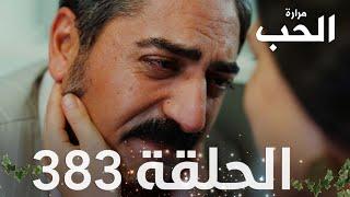 مسلسل مرارة الحب | الحلقة 383 مدبلجة | Bir Zamanlar Çukurova