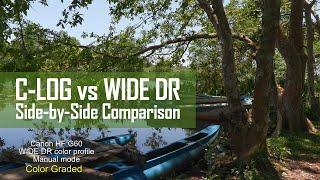 Canon Color Profiles C-Log vs Wide DR vs Normal Side by Side Comparison 4K 150Mbps