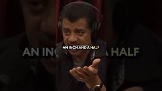 Smart Animals  w/ Neil Degrasse Tyson