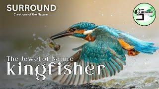 The Kingfisher(The Jewel of Nature) #Animal World #Creations of the Nature #AI Powered @SURROUND