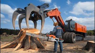 Extreme Dangerous Monster Stump Removal Excavator | Fastest Big Chainsaw Tree Cutting Machines #2