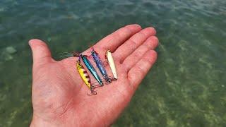 Micro jigging in Summer Adriatic Sea Selce