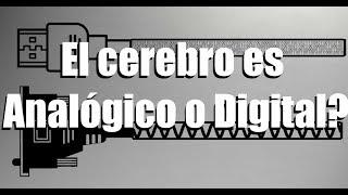 SEÑALES ANALÓGICAS : El cerebro es analógico o digital? | ENTec |