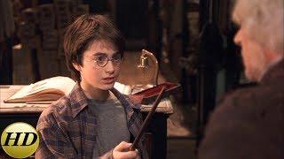 Гарри покупает первую волшебную палочку. Гарри Поттер и философский камень.