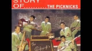 The Picknicks - 'k Zie Zo Gere M'n Duivekot