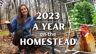 Building Our Homestead (A Year in Review) 2023