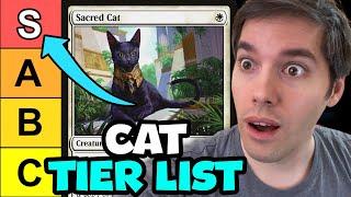 I Ranked Every MTG Cat Tier List! Magic: The Gathering