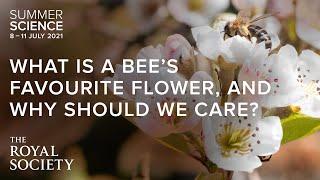 What is a bee's favourite flower? | The Royal Society