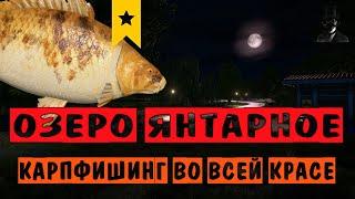 Озеро Янтарное - Карпфишинг во всей красе - Русская Рыбалка 4