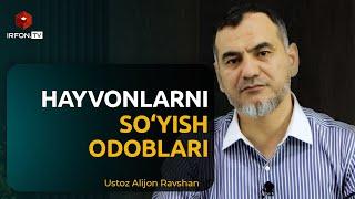 Hayvonlarni so'yish odoblari | Ustoz Alojon Ravshan