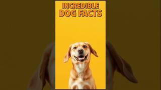 "Incredible Dog Facts You Didn't Know! "