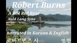 [#번역외국시 #ForeignPoems] #로버트번즈 #RobertBurns #내사랑 #ARedRedRose #올드랭사인 #AuldLangSyne | 영.한