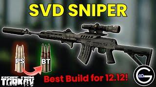 Stop using PS Rounds! Punisher SVD Ammo & Builds Guide (patch 12.12)