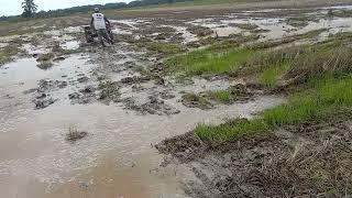 teraktor sawah, sedang beraksi kembali, QUICK TRAKTOR,@setiachanel2161