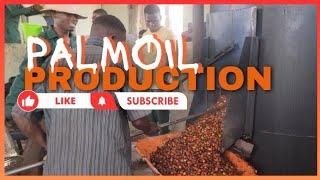 PALM OIL PROCESSING AND PRODUCTION  IN NIGERIA