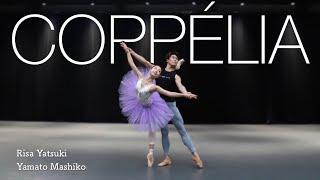 【本気バレエ #25】コッペリアよりパ・ド・ドゥ&バリエーション | COPPÉLIA Pas de Deux and variations 【BALLET】