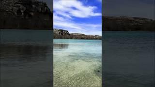 This Hidden Texas River Is The Cleanest You Will Ever See!