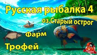 Русская рыбалка 4. Старый острог. Фарм. Лещ. Трофей.